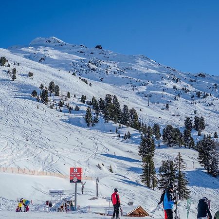 Appartement Pitztal-Hochzeiger Inclusive Pitztal-Sommer Card Jerzens Eksteriør bilde